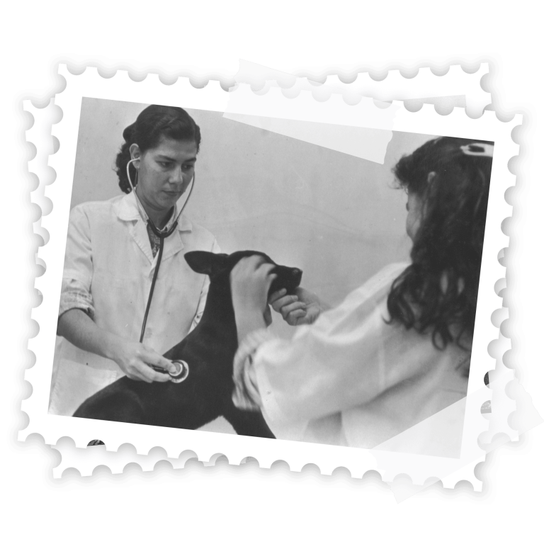 1982 - atendimento-HV