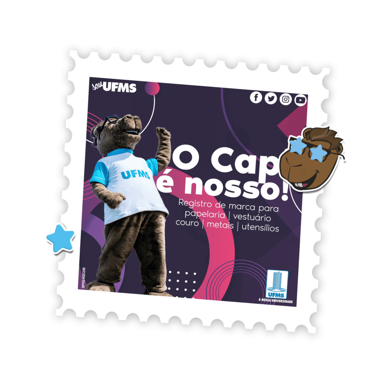 2020 - capi