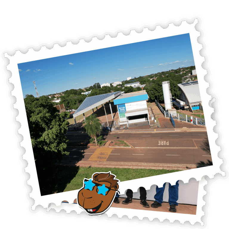 2024 - mercado escola